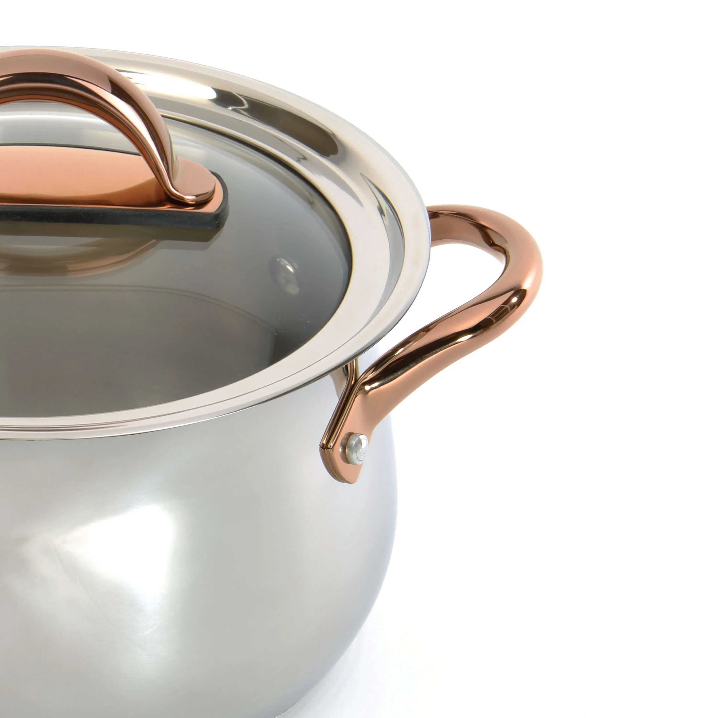 BergHOFF Ouro Gold 18/10 Stainless Steel 9.5" Stockpot with Glass Lid 8.1qt.