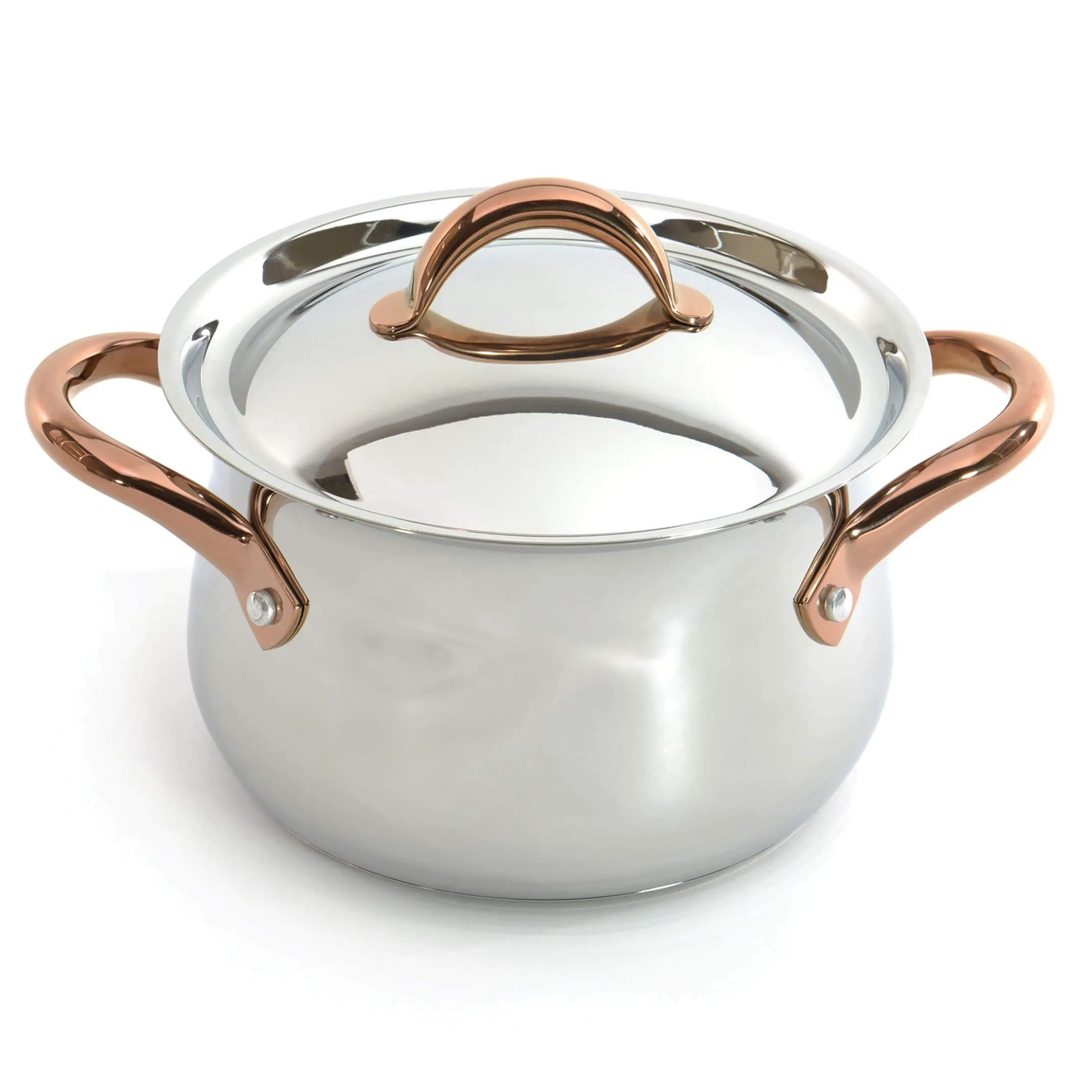 BergHOFF Ouro Gold 18/10 Stainless Steel 9.5" Stockpot with SS Lid