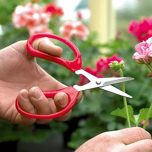 Darlac Gardeners Scissors