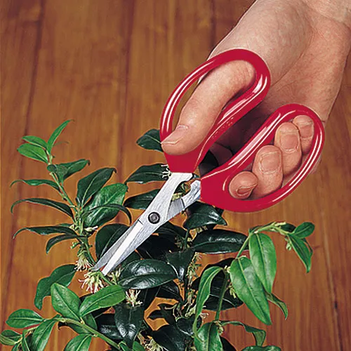 Darlac Gardeners Scissors