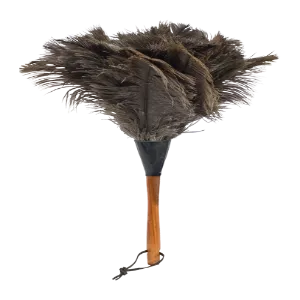 Feather Duster Small