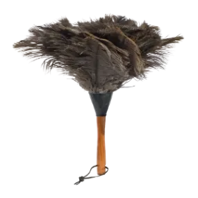 Feather Duster Small