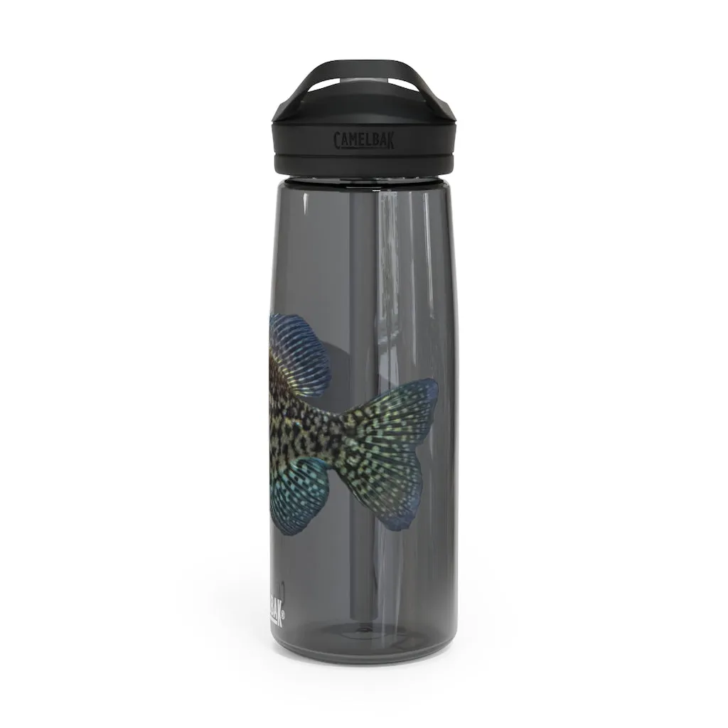 Golden Fish CamelBak Eddy®  Water Bottle, 20oz / 25oz