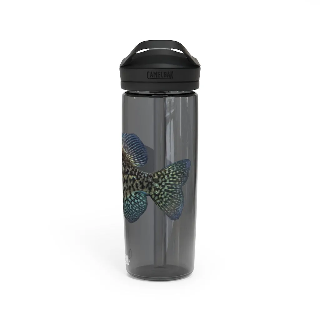 Golden Fish CamelBak Eddy®  Water Bottle, 20oz / 25oz