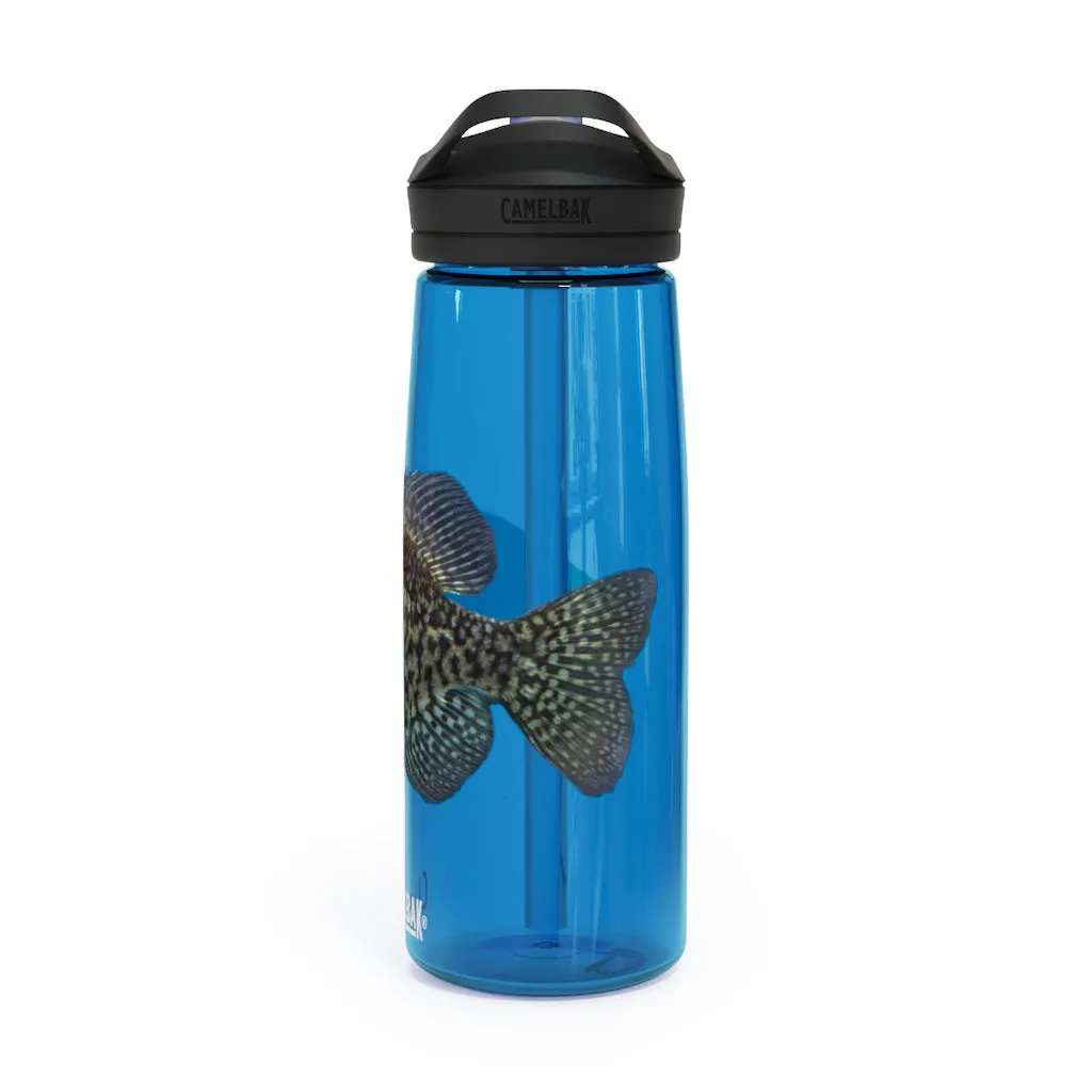 Golden Fish CamelBak Eddy®  Water Bottle, 20oz / 25oz