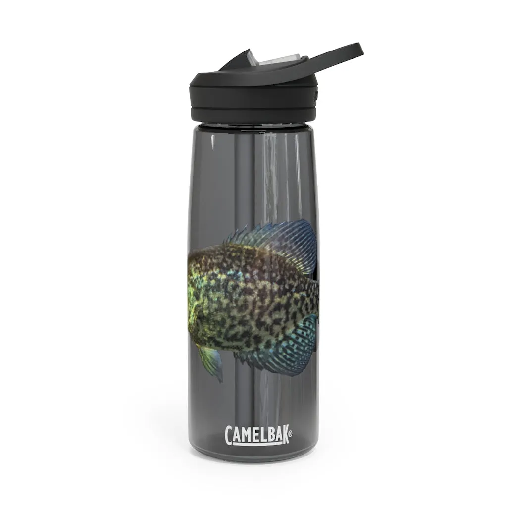 Golden Fish CamelBak Eddy®  Water Bottle, 20oz / 25oz