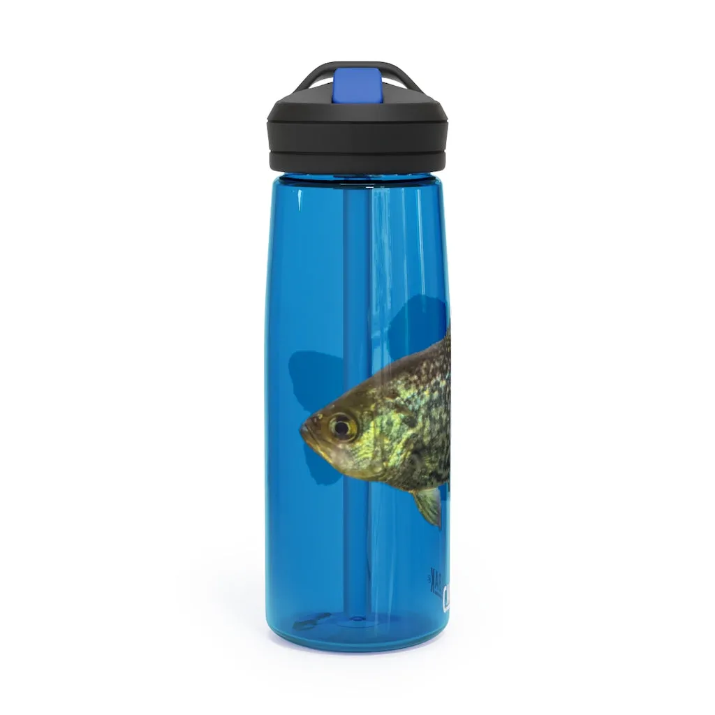 Golden Fish CamelBak Eddy®  Water Bottle, 20oz / 25oz