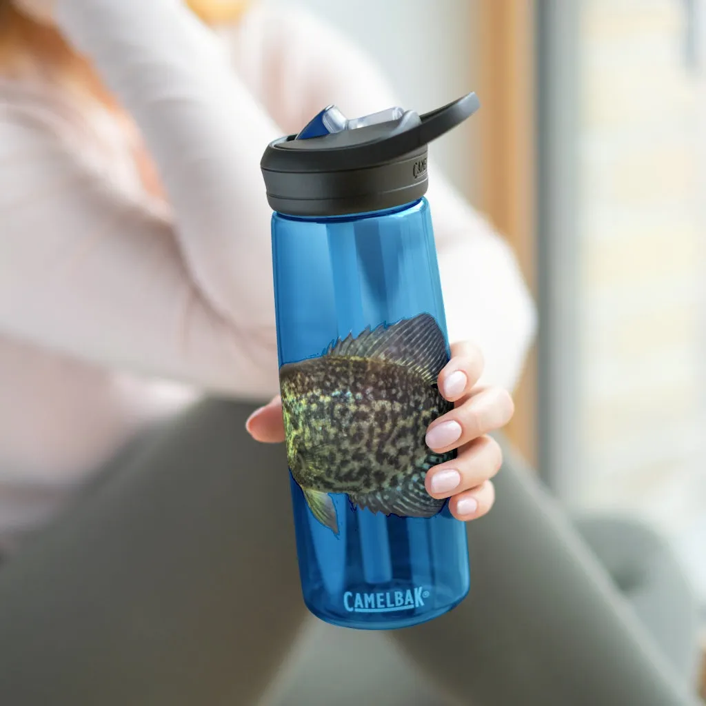 Golden Fish CamelBak Eddy®  Water Bottle, 20oz / 25oz