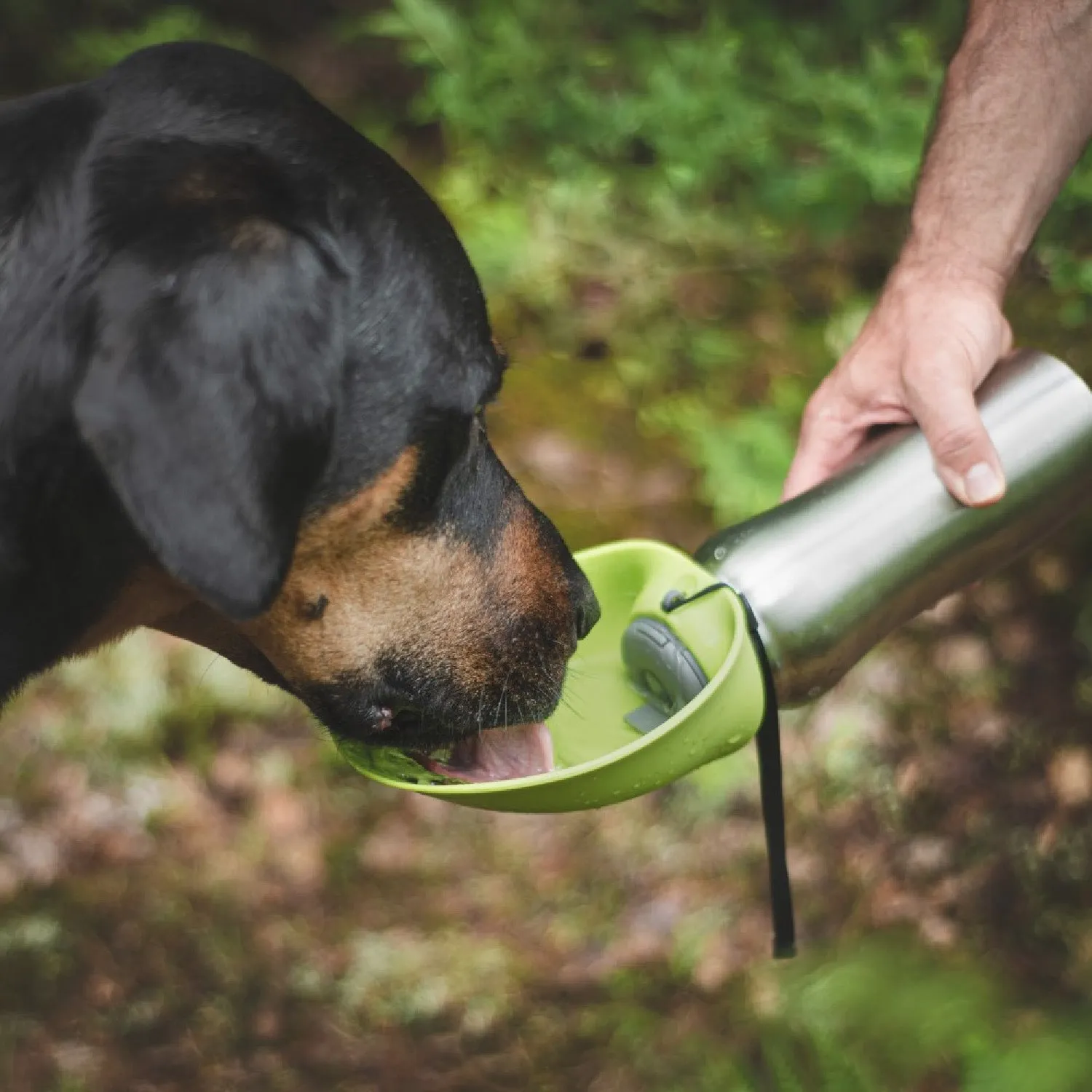 Messy Mutts Stainless Travel Water Bottle & Bowl