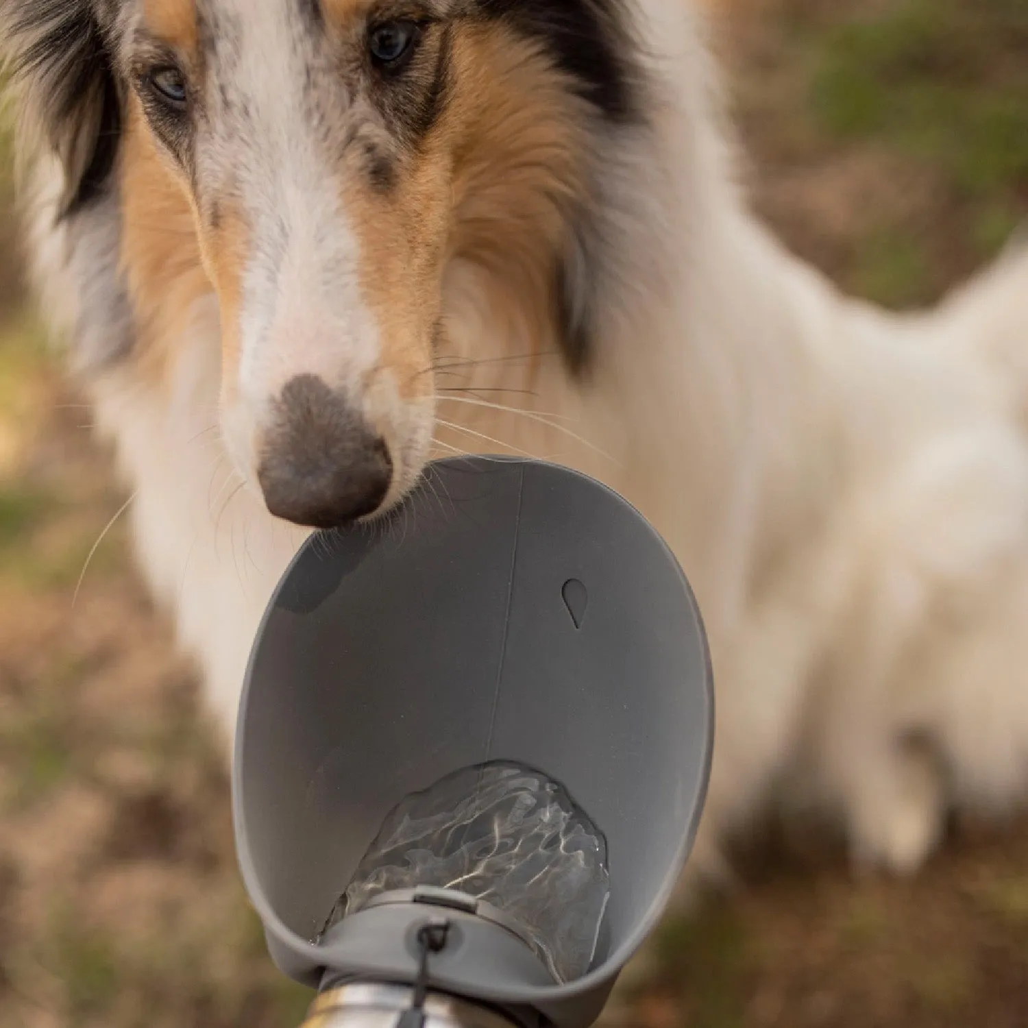 Messy Mutts Stainless Travel Water Bottle & Bowl