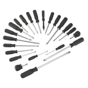 Screwdriver Set 22pc