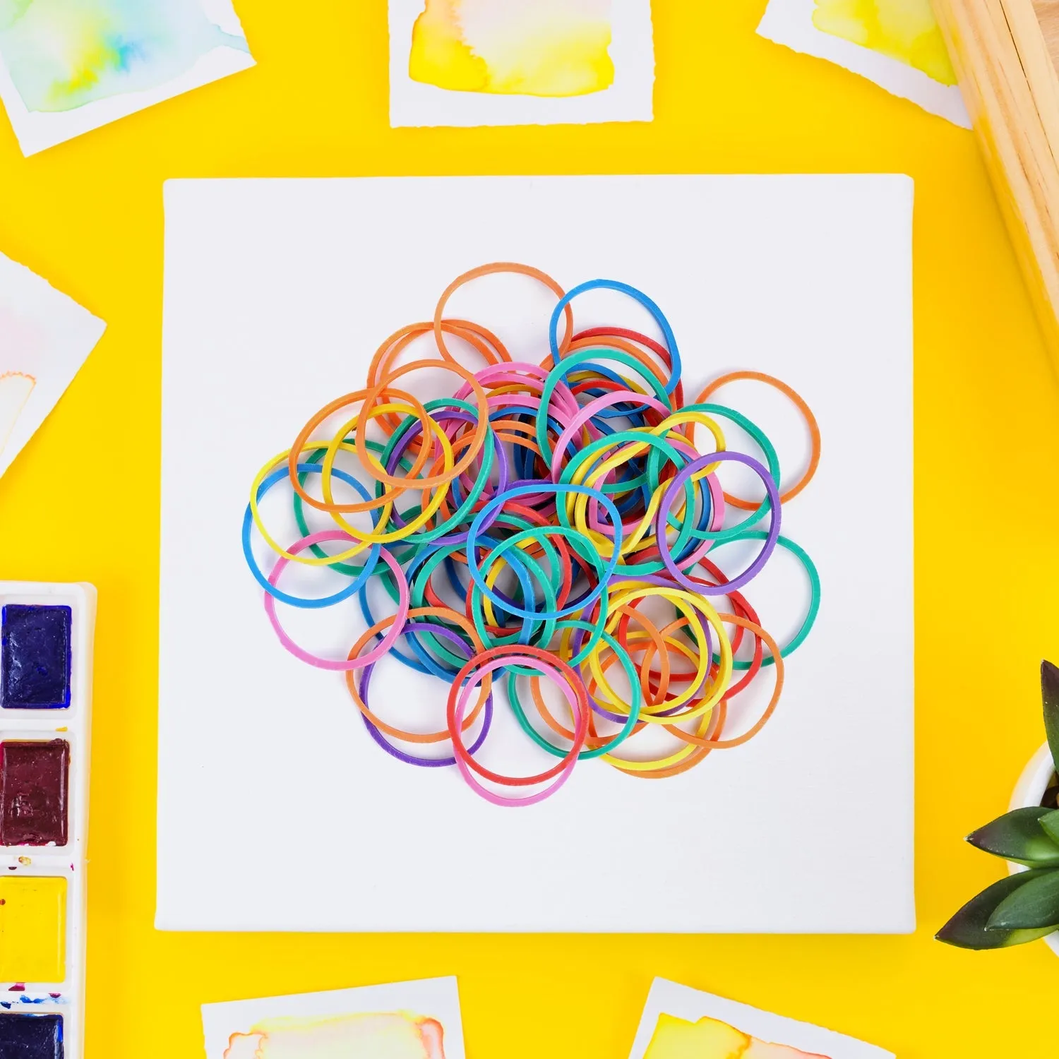 Strong & Reusable Rubber Bands: Multicolor for Office, Home & School