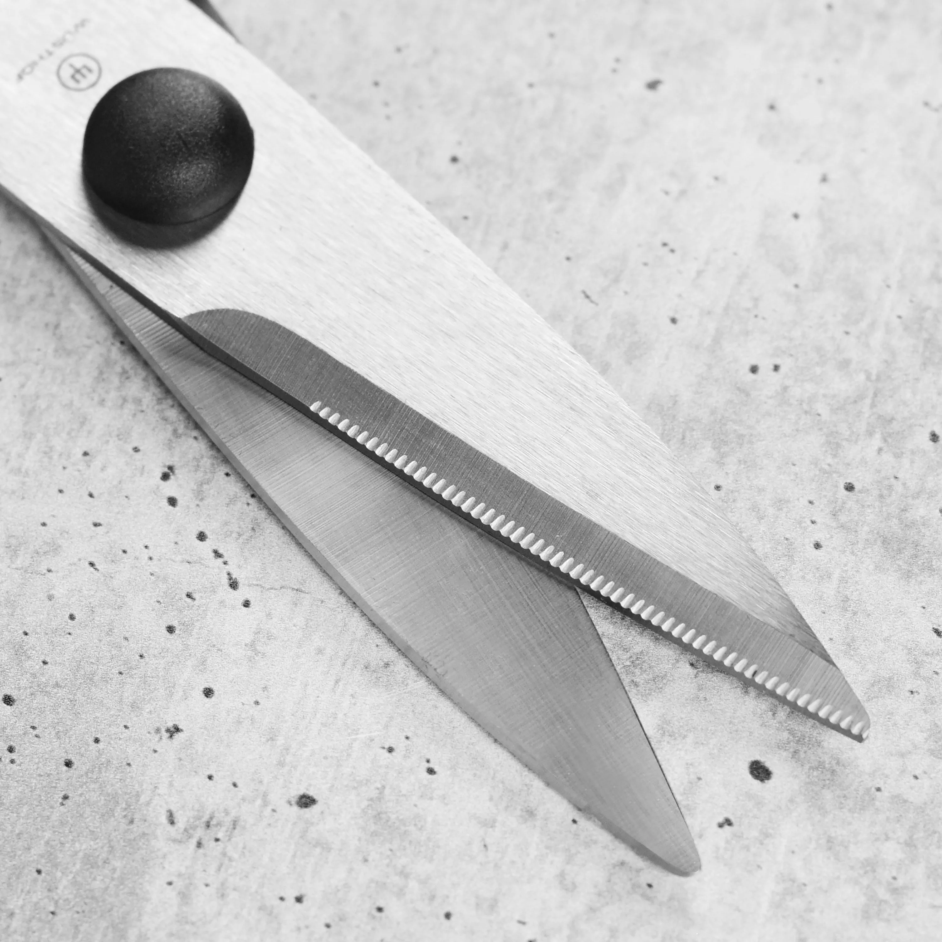 Wusthof Come-Apart Kitchen Shears